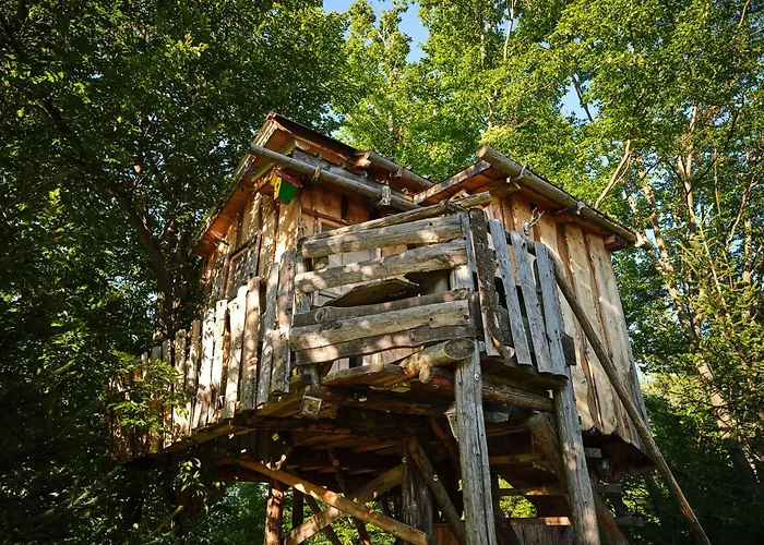 Treehouse Toplak