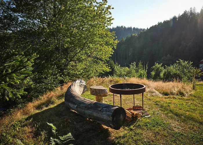 Treehouse Toplak