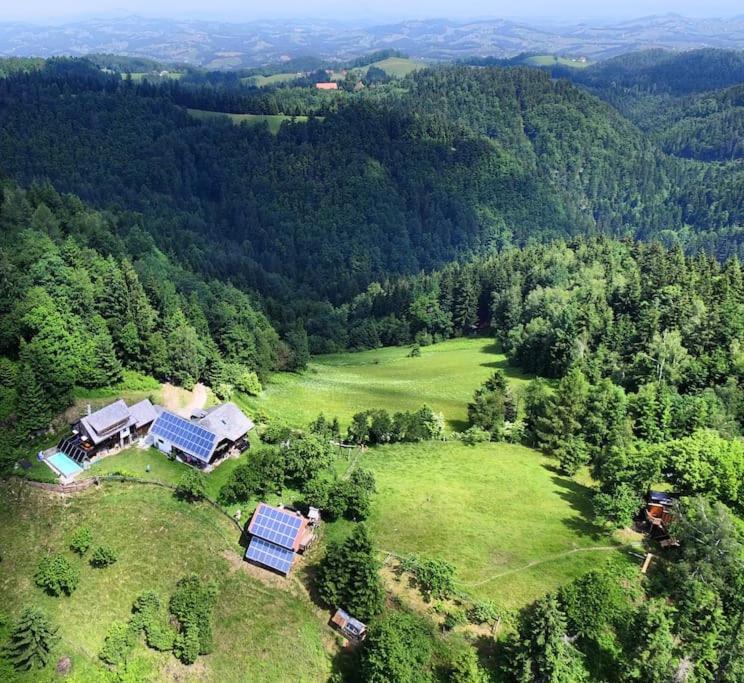 Treehouse Toplak * Ruse