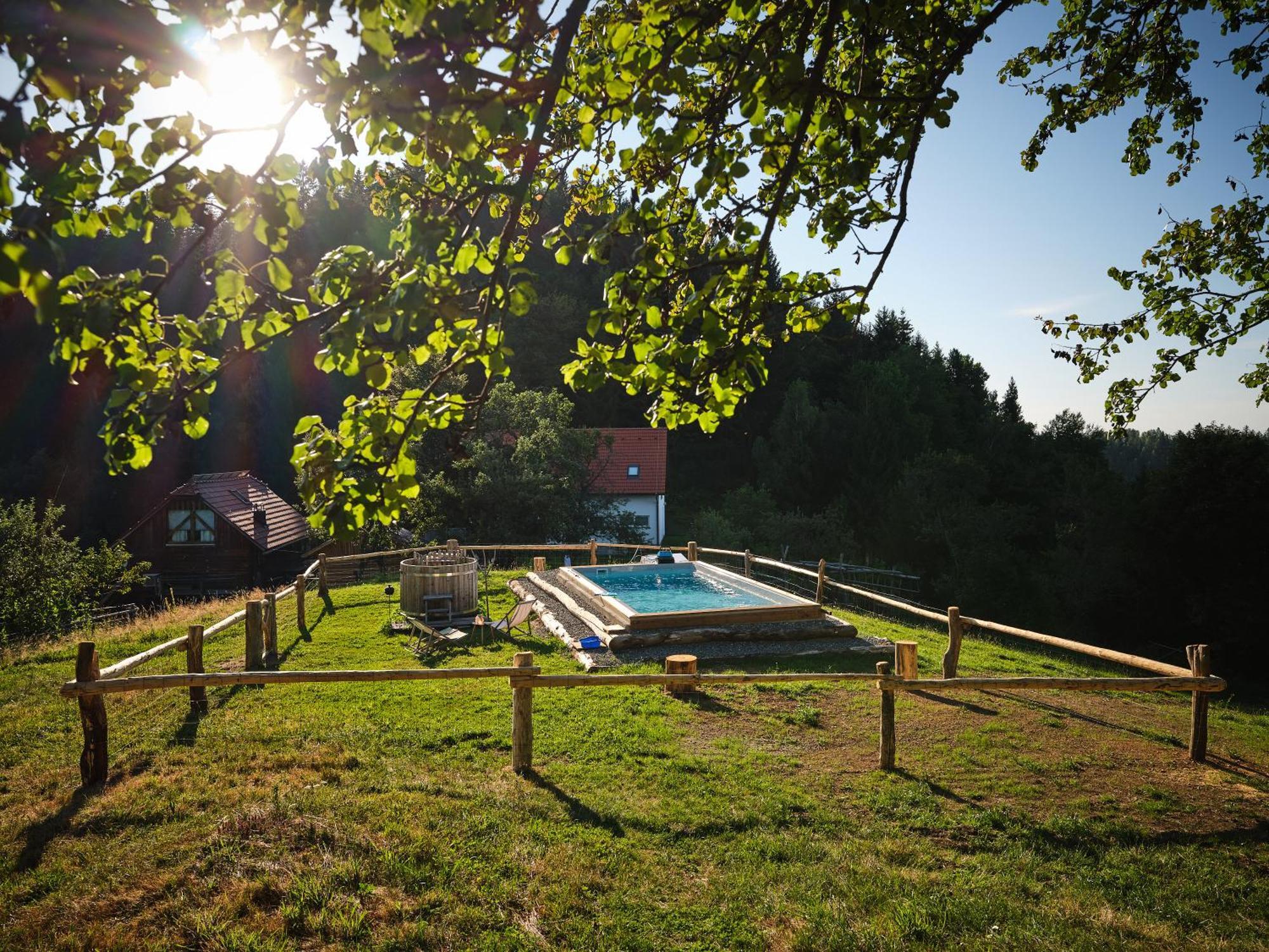 Treehouse Toplak Ruse