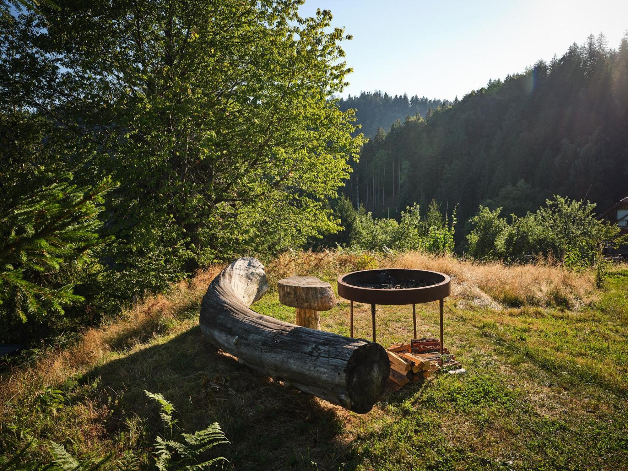 Treehouse Toplak