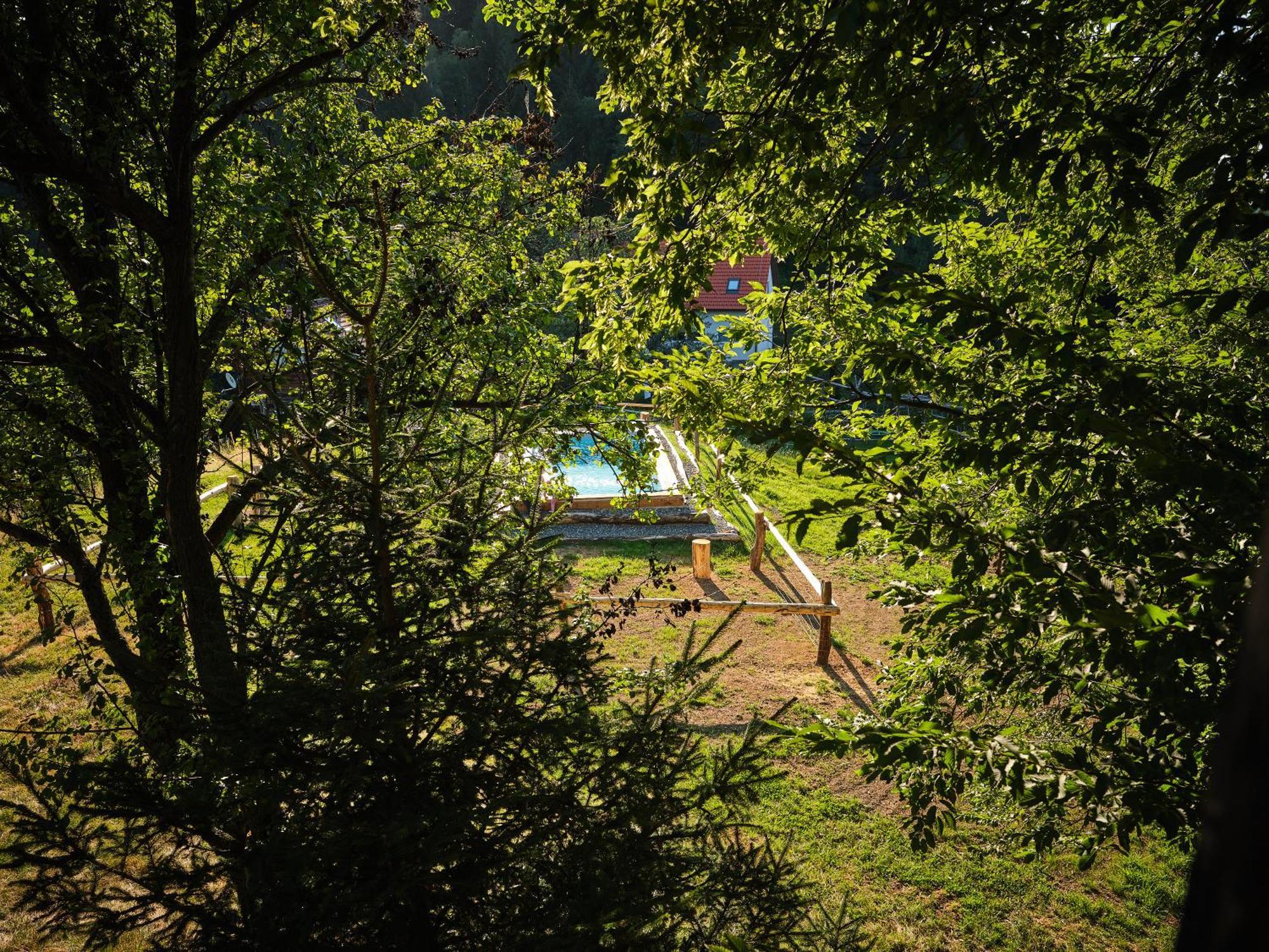 Treehouse Toplak Chalet *