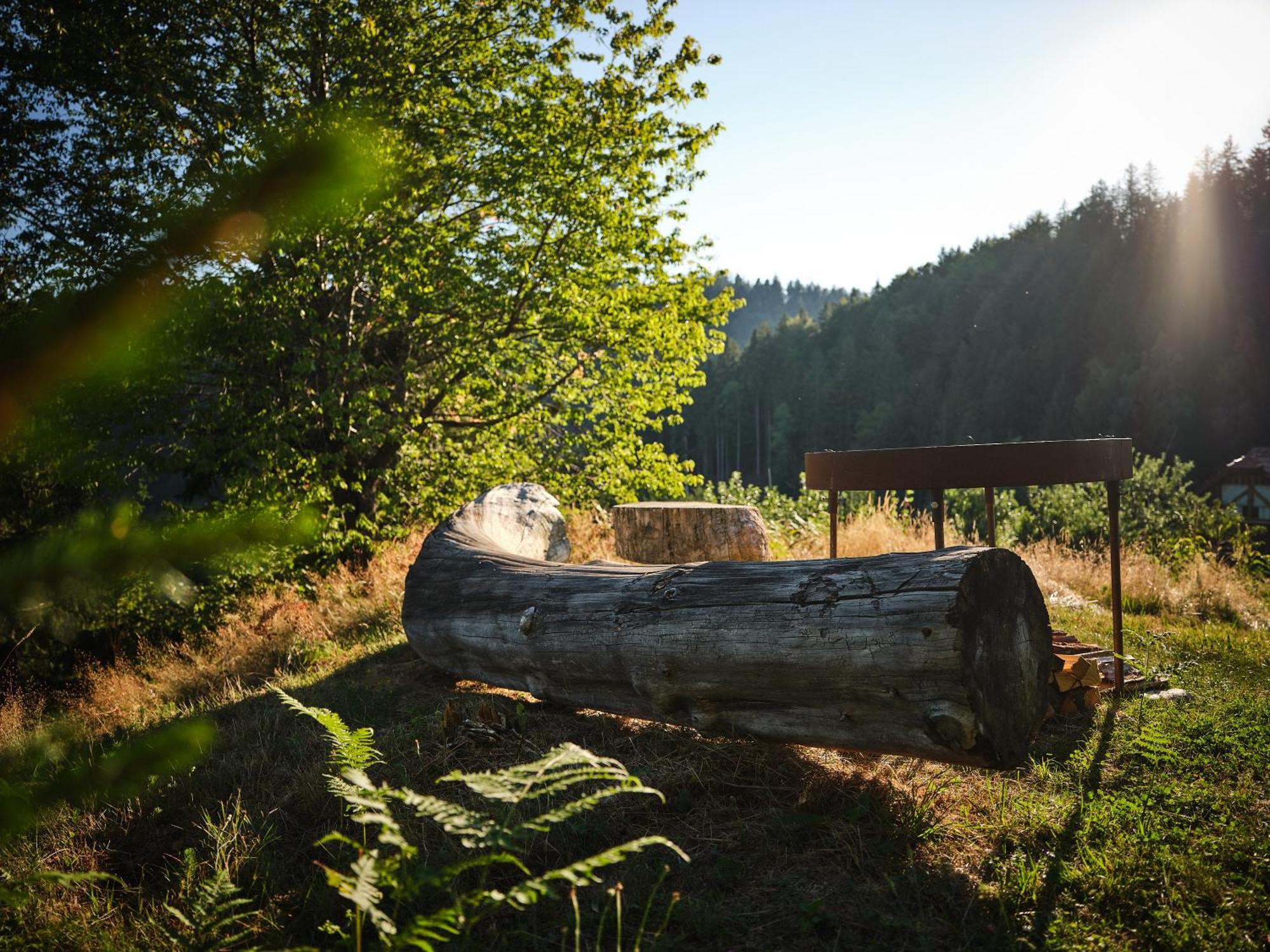 Treehouse Toplak *