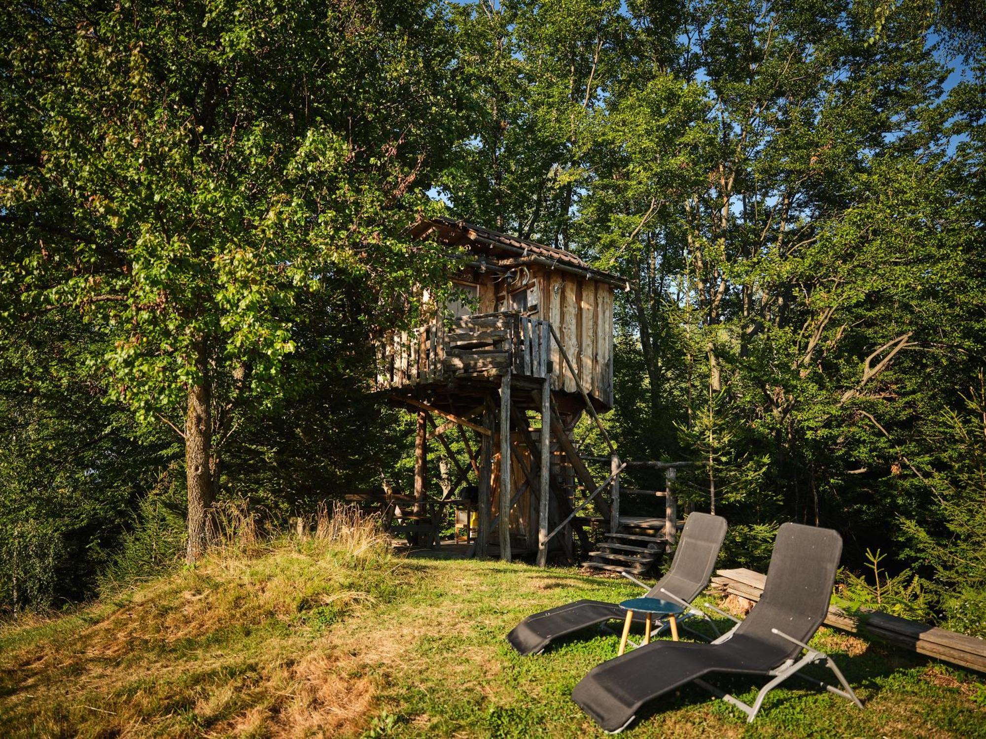 Treehouse Toplak